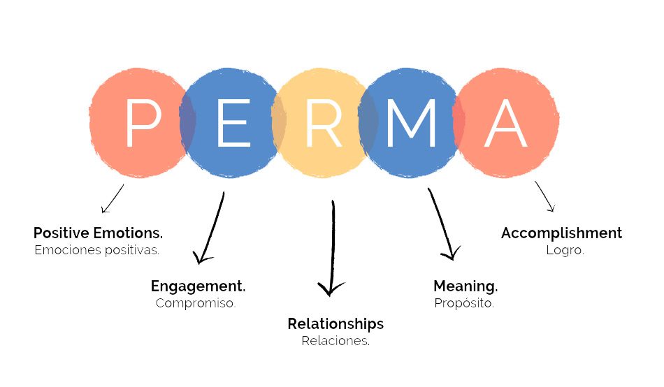 modelo perma martin seligman